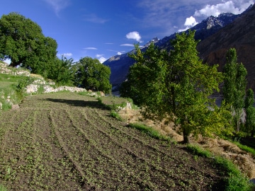 Project WATER FOR LIFE IN PAKISTAN